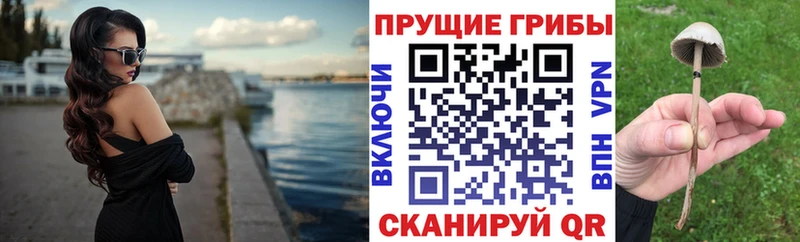 Купить закладки  Чишмы  Псилоцибиновые грибы прущие грибы 